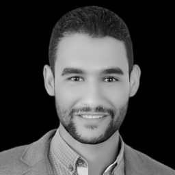Ing. Mohamed Elsayed