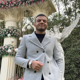 Abdelrhman Mousa