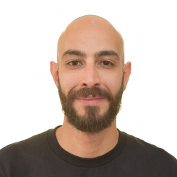 Marco Melis