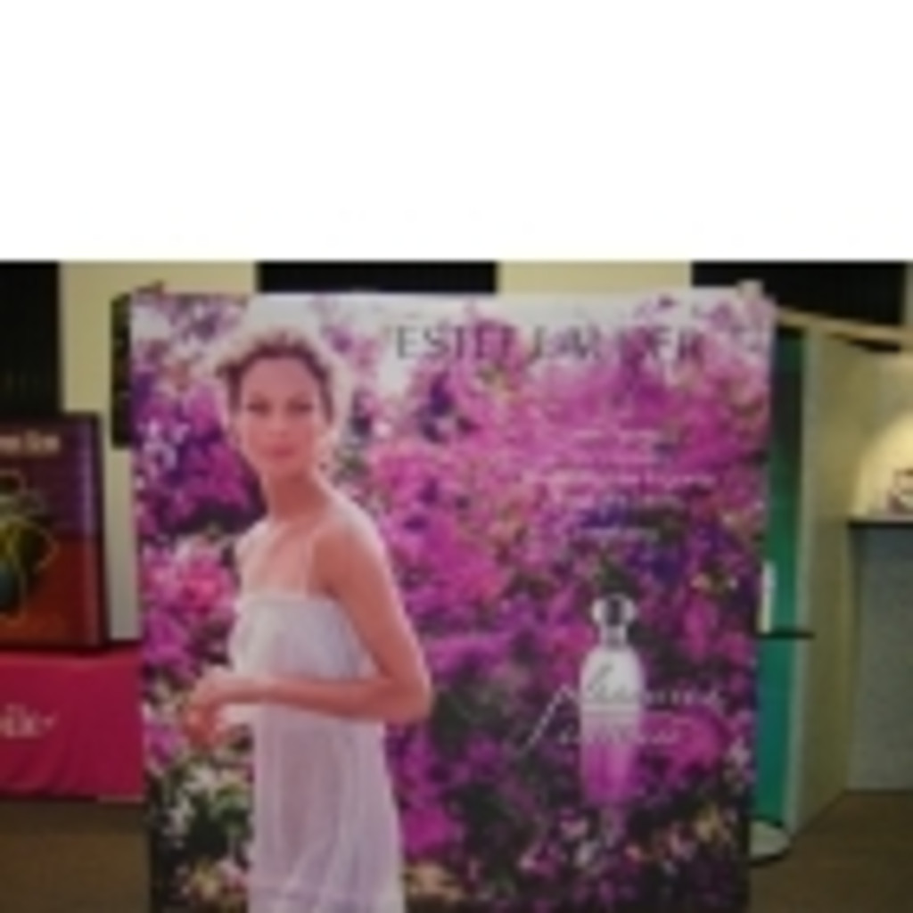 Susan Cassano Sr. Display Consultant Nomadic Display XING