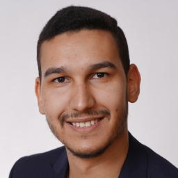 Ahmed Hamdi's profile picture