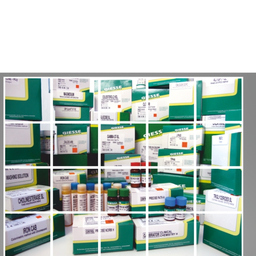 Giesse Diagnostics