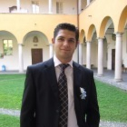 Elvis Dizdarevic