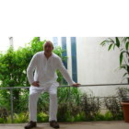 Martin Miethner