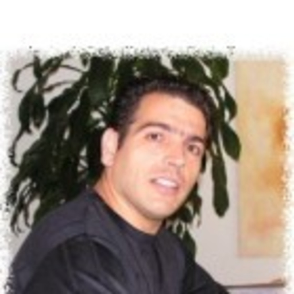 Franco Di Dio Inhaber Di Dio Safety AG XING