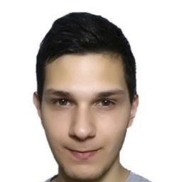 Sinisa Mladjen