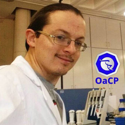 Enrico Di Oto