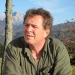 Michael Feiersinger