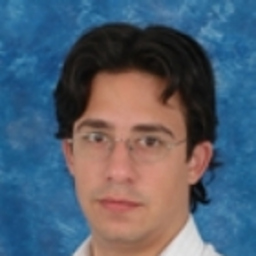 Fernando Bolla Lora