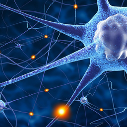 Neurofeedback Lahr