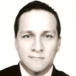 Luis Daniel Mendoza Garcia