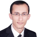 Ahmed Abd El-Ghafar Mohammed Farag
