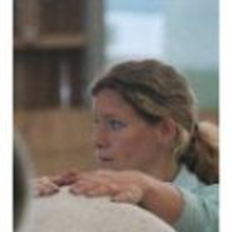 Sabine Brück's profile picture