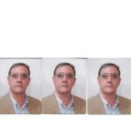 Alessandro Geremia