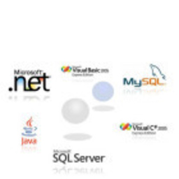 Edwin Patricio Cárdenas Anchapaxi