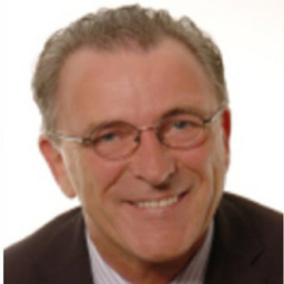 Ingo Elson
