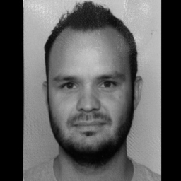 Robin Philipp