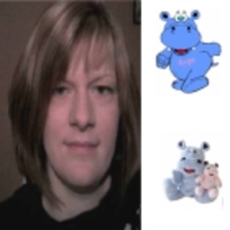 Silke Heise
