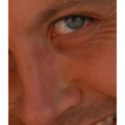 Daniel Lauk