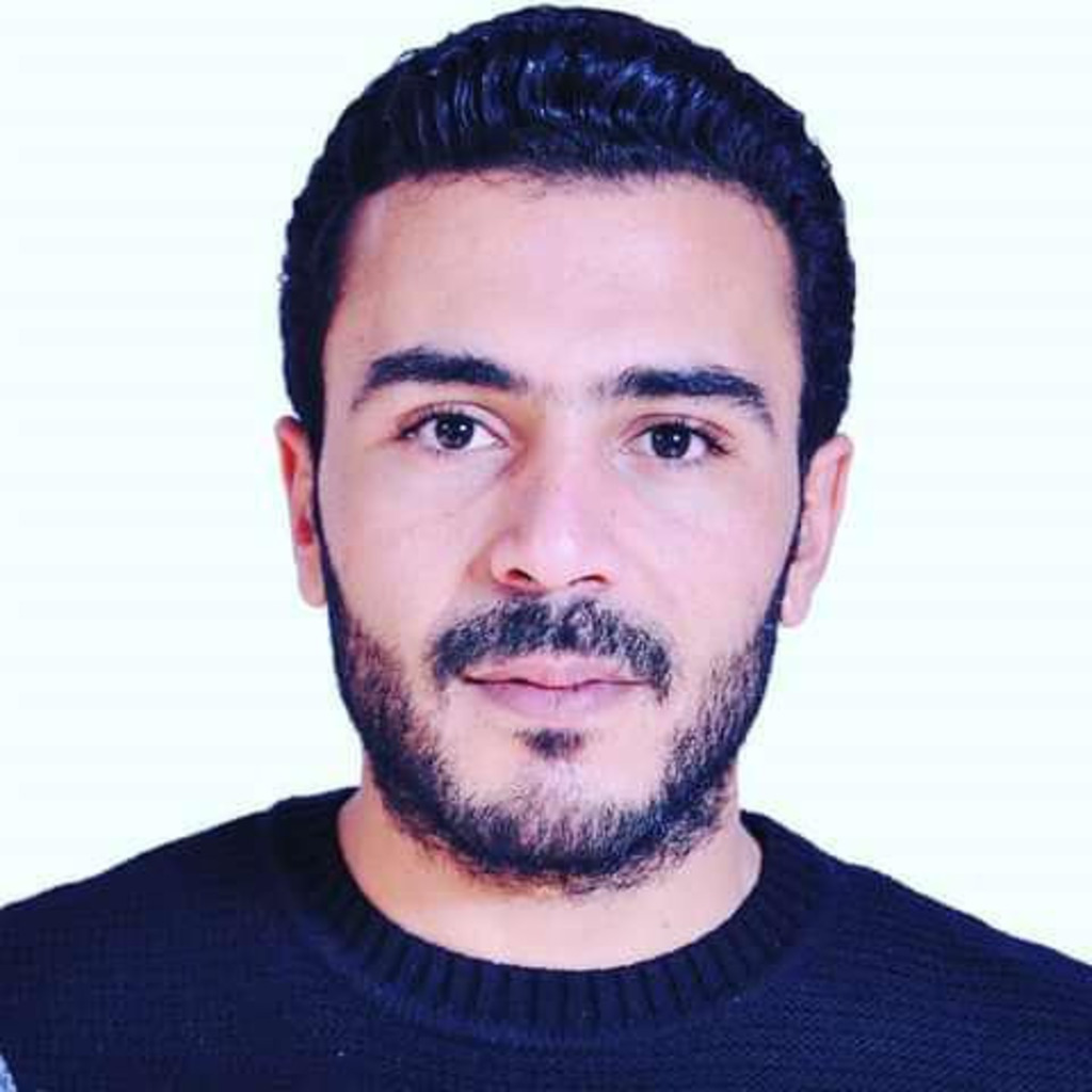 Hamed Labidi Senior Buyer Valeo XING