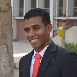 amr ibrahim