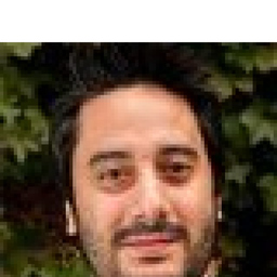 Rafael De Carvalho's profile picture