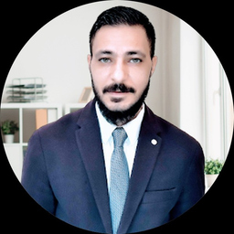 Ahmed Abdel Haleem