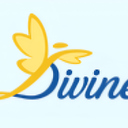 Divine Skin and Cosmetology