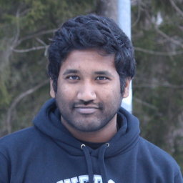 Venkatraman Ramamoorthy