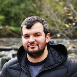 Florin Gavril