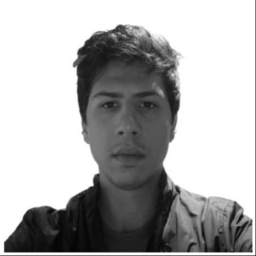 Luca Pietra