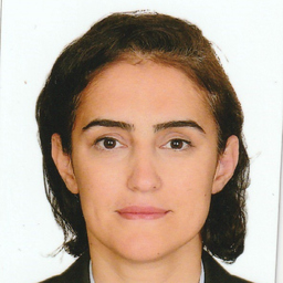 Deniz Ercan