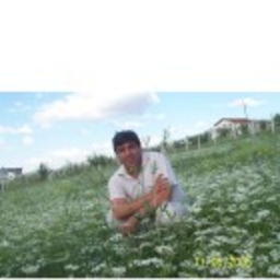 Ertuğrul Telli