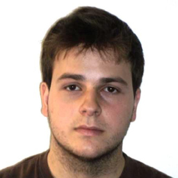 Henrique Menezes Reis