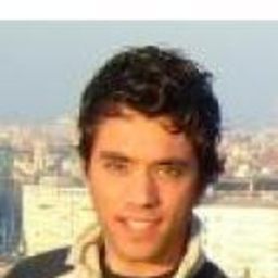 Miguel Sucena Lavoura Miguel's profile picture