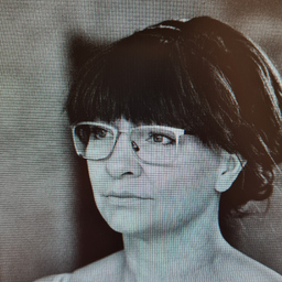 Stefanie Scherreiks's profile picture