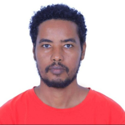 Lechisa Takele