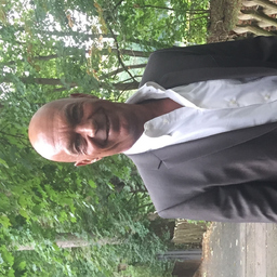 Karim Menchawy