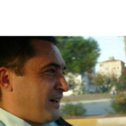 Ferit Meriç