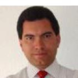 Fernando Avila G