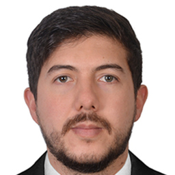 Nicolas Guzman Chaves