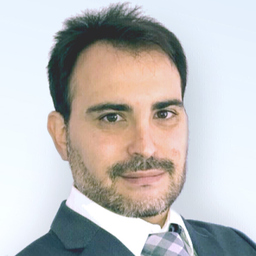 Dipl.-Ing. Angel De Diego Gonzalez