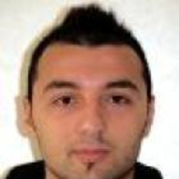 roberto minischetti