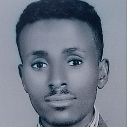 Dame Nagesa kebede