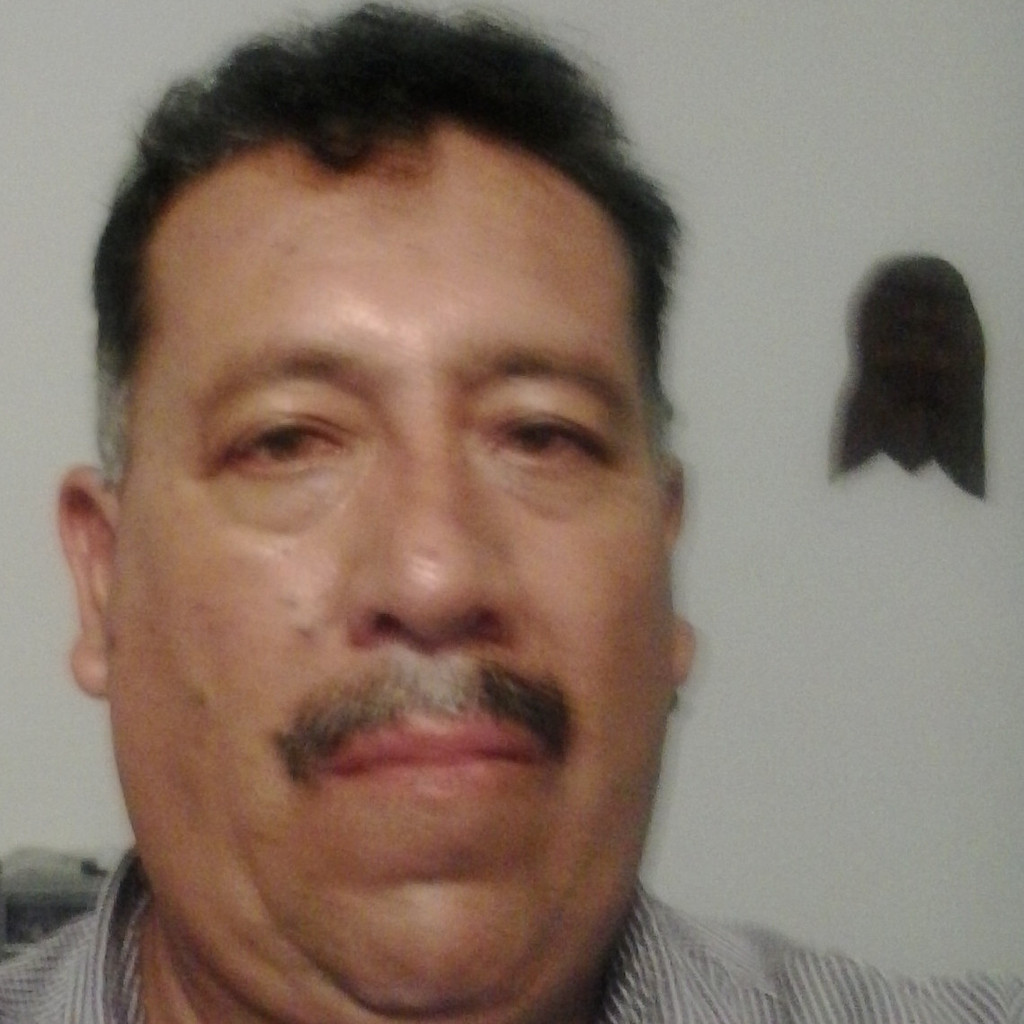 Gregorio Gomez Operations Manager Mantelectronic XING