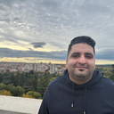 Hamidreza Mani