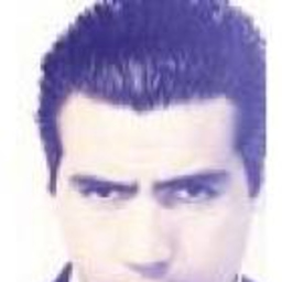 luis javier martinez