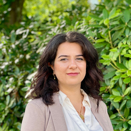 Zhwan Mahmoud