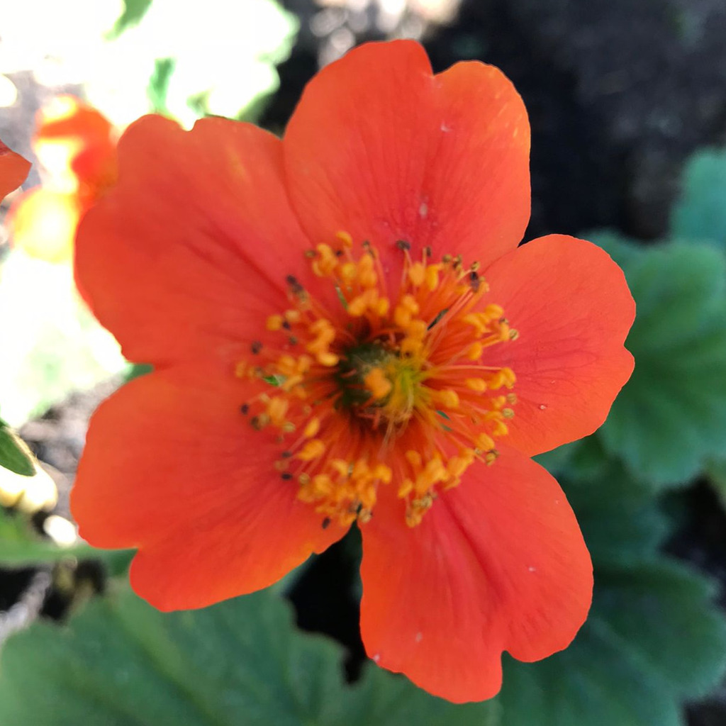 Rene Seeger Lagerist Rolf Benz AG & Co. KG XING