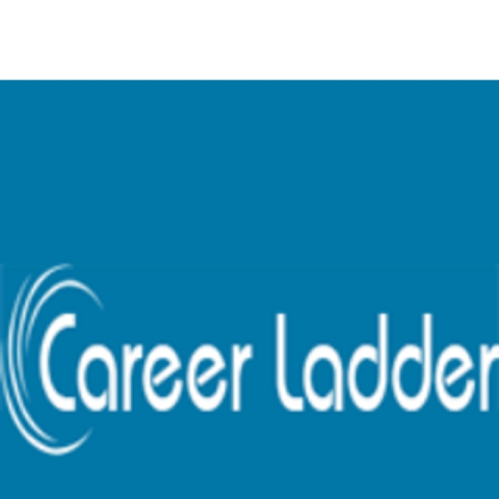 career-ladder-job-service-provider-jobs-dhamaka-xing